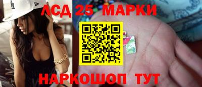 сатива Можга