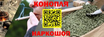 сатива Можга
