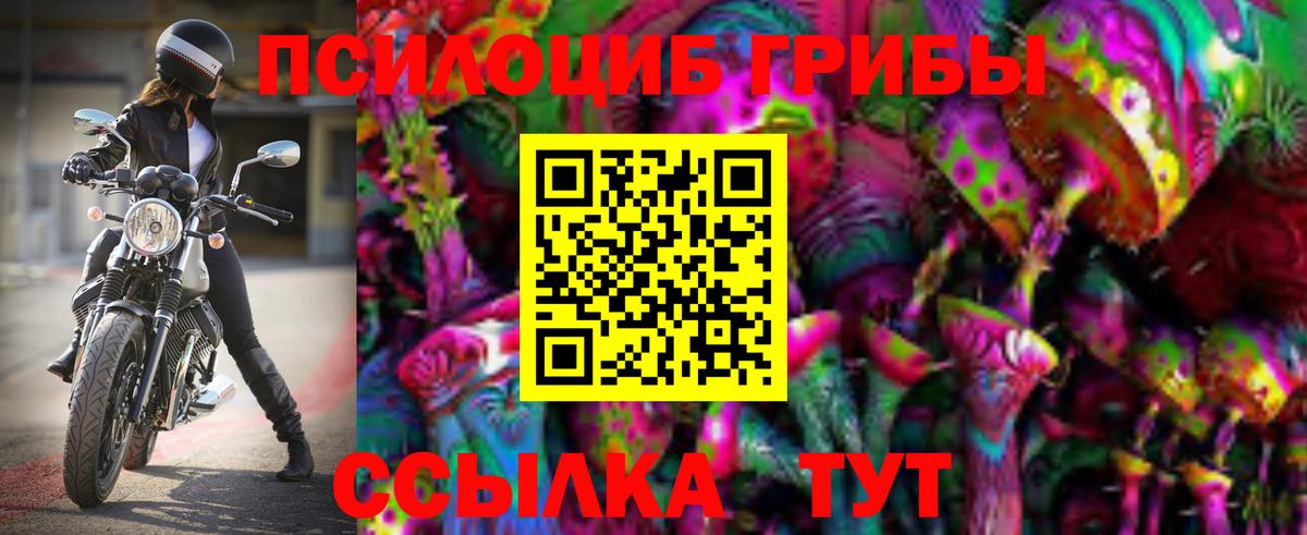 Галлюциногенные грибы прущие грибы  Вход с VPN  цена   Братск 
